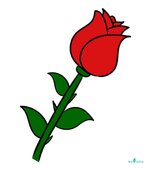 How-To-Draw-A-Rose-Easy-Step-by-Step-Guide-910x1024[1].jpg